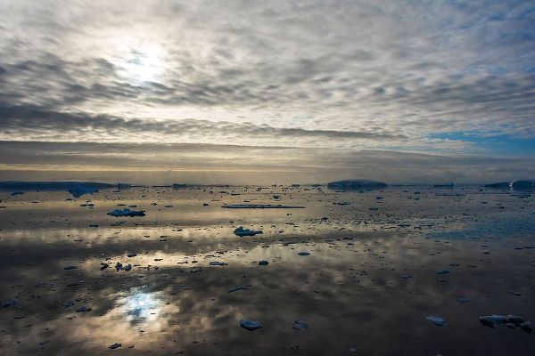 Su, Keren 아티스트의 Floating ice on South Atlantic Ocean-Antarctica작품입니다.